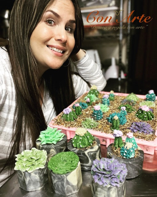 Conjunto "Succulent Soap On Pot"