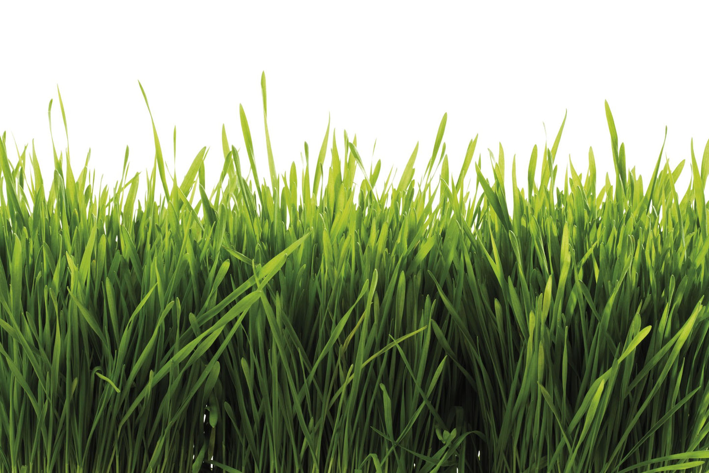 Bunny Digging Deep "Artisan Soap"