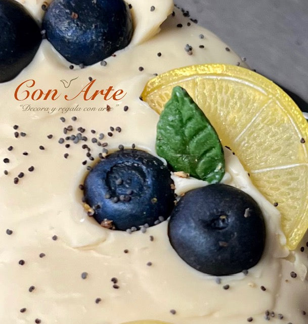 Summer Collection 2024