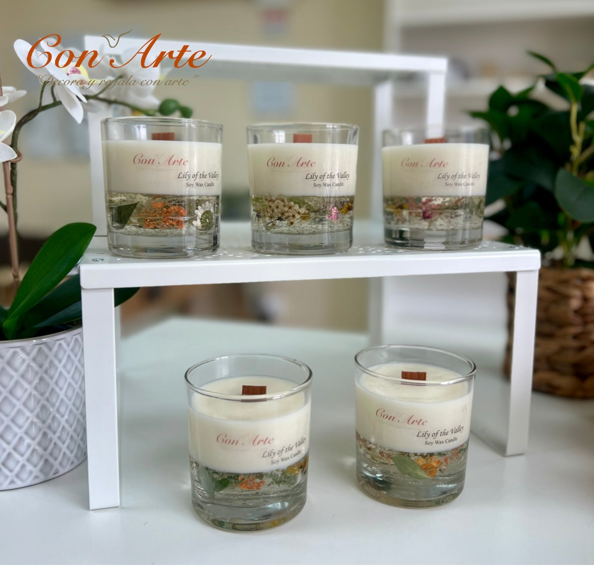 Lily of the Valley - Luxury Soy Candles