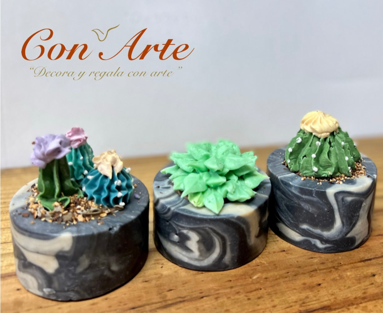 Conjunto "Cactus Soap on Pot"