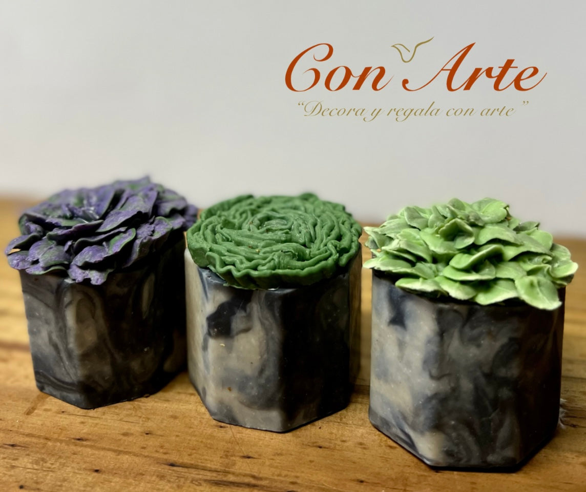 Conjunto "Succulent Soap On Pot"