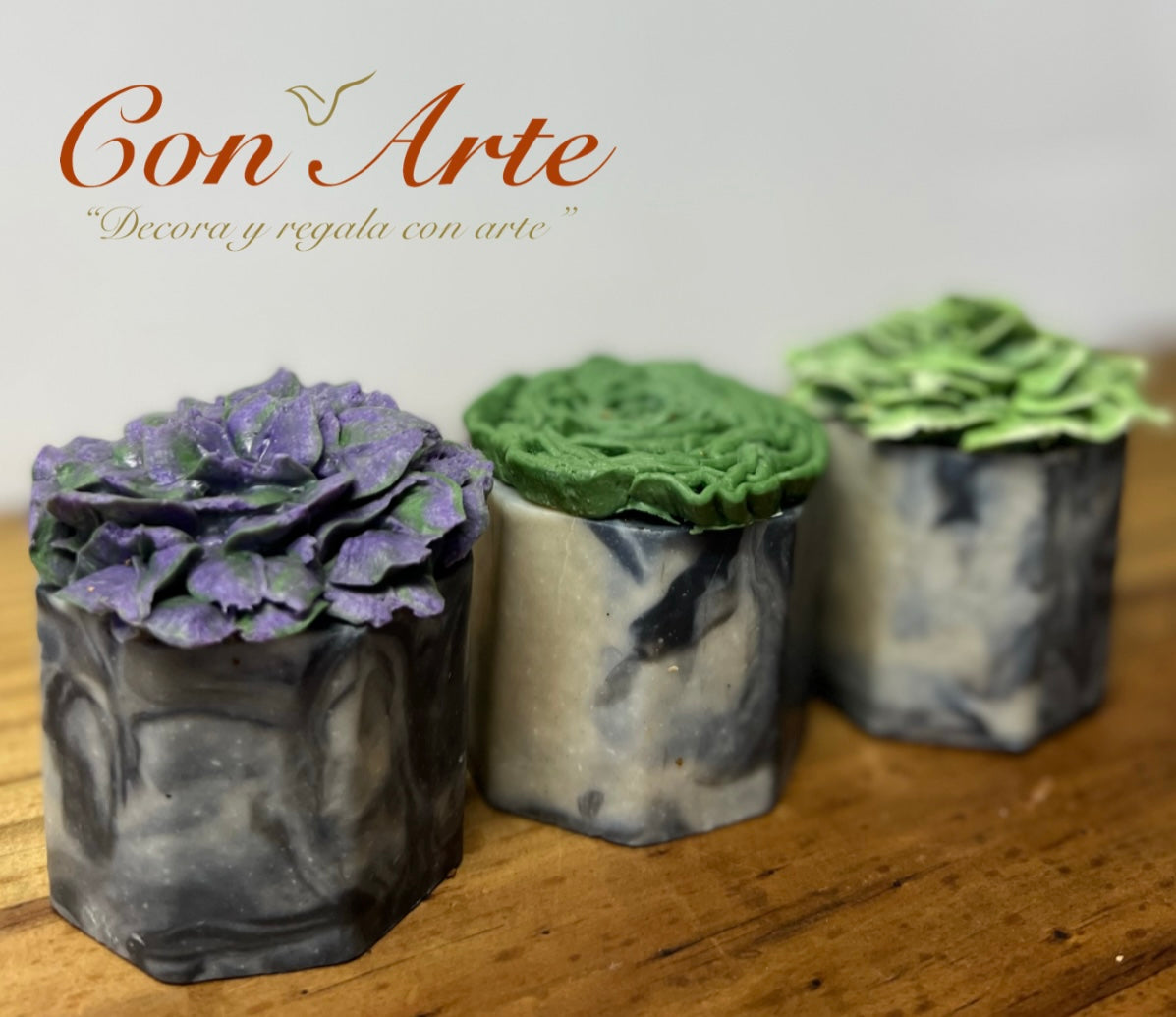 Conjunto "Succulent Soap On Pot"