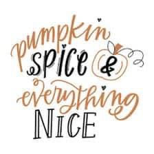 Pumpkin Spice and Everything Nice - Artisan Soaps Collection