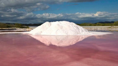 Salted ( Cabo Rojo Sea Salt + Coconut + Pink Kaolyn)
